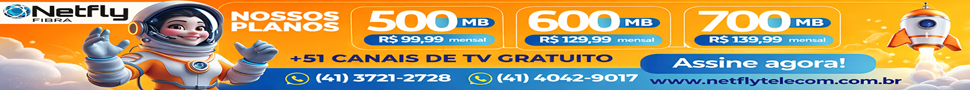 Netfly Telecom
